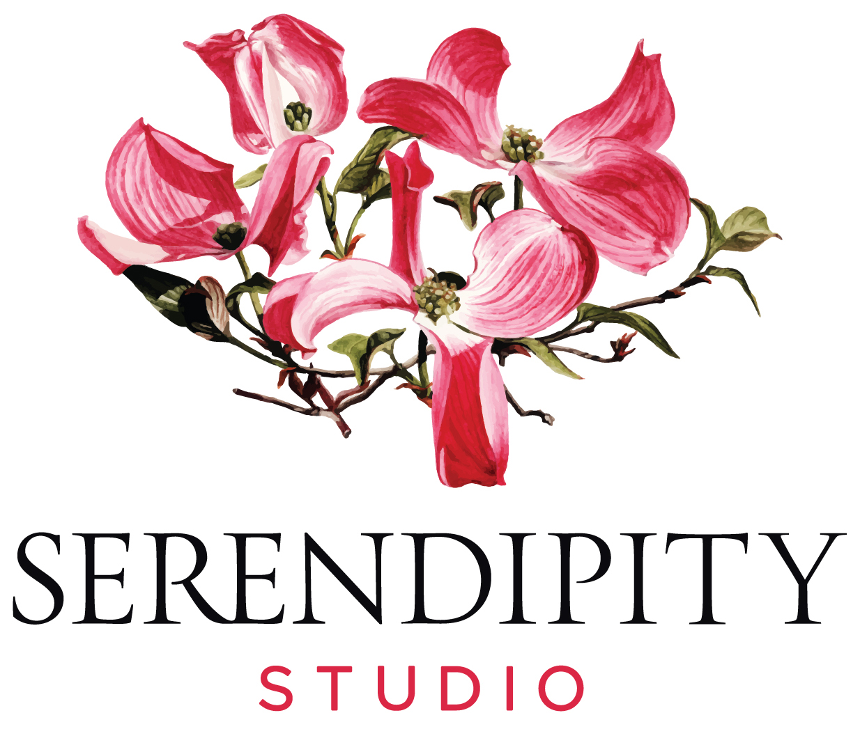 Serendipity Studio