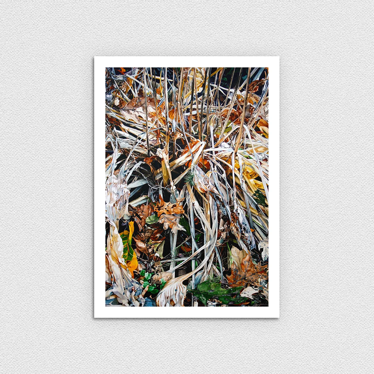 End of Season - Hosta and Leaves