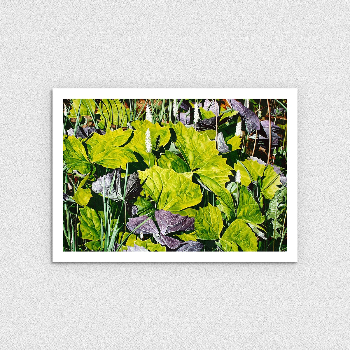Vanilla Leaves