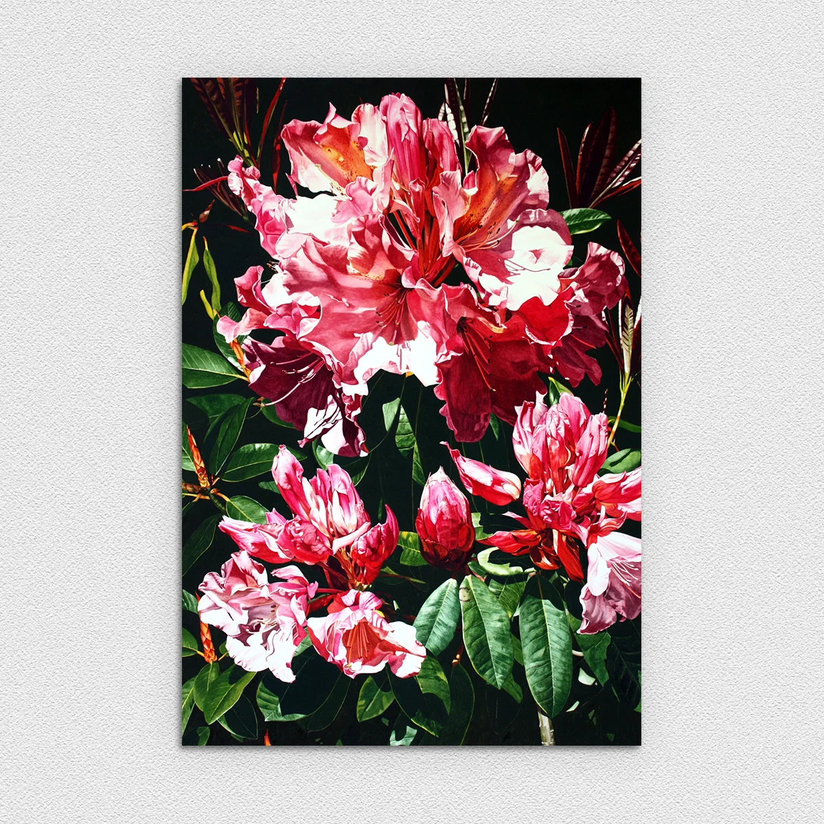 BotanicalNebulae.jpg
