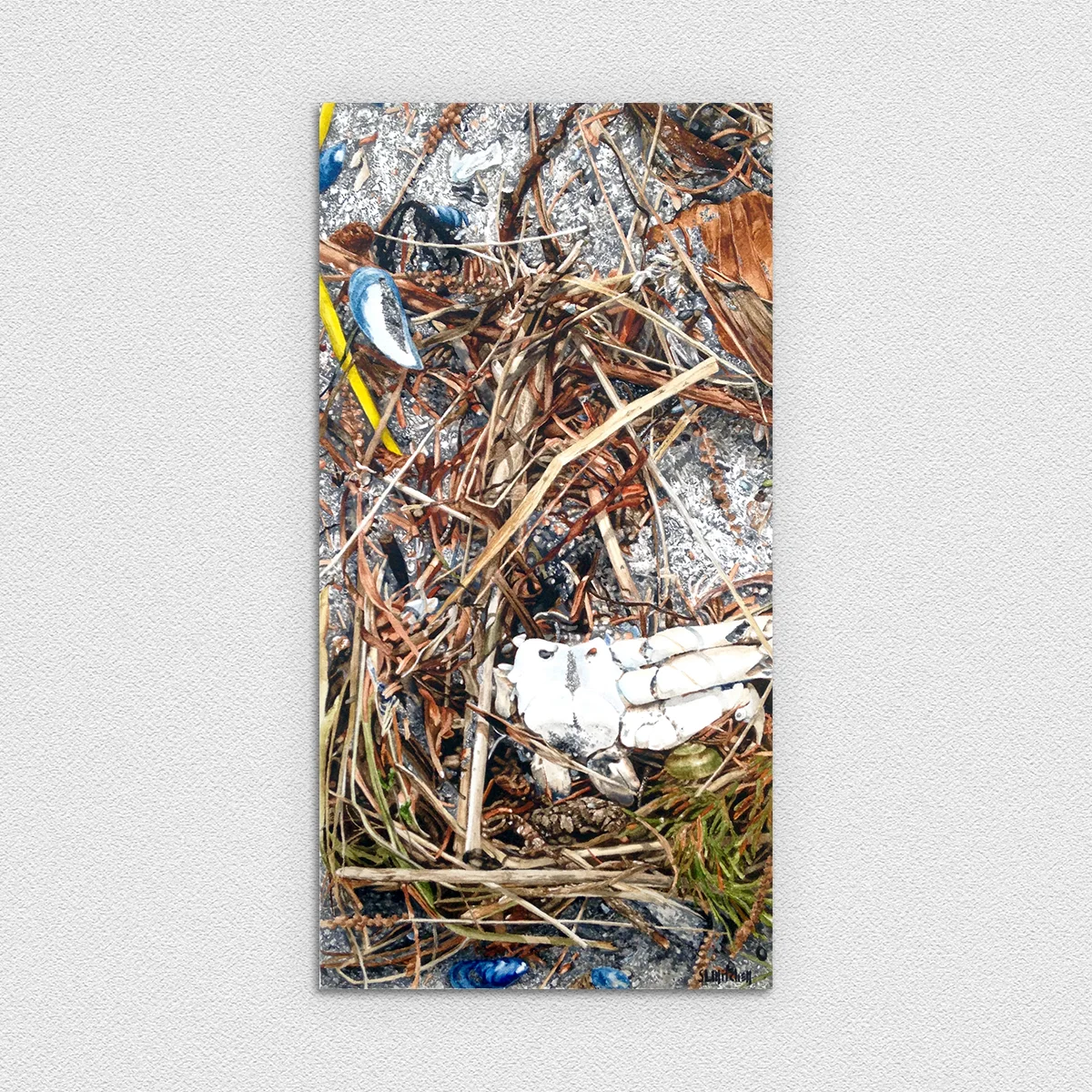 Tangle 6 - Beach Detritus