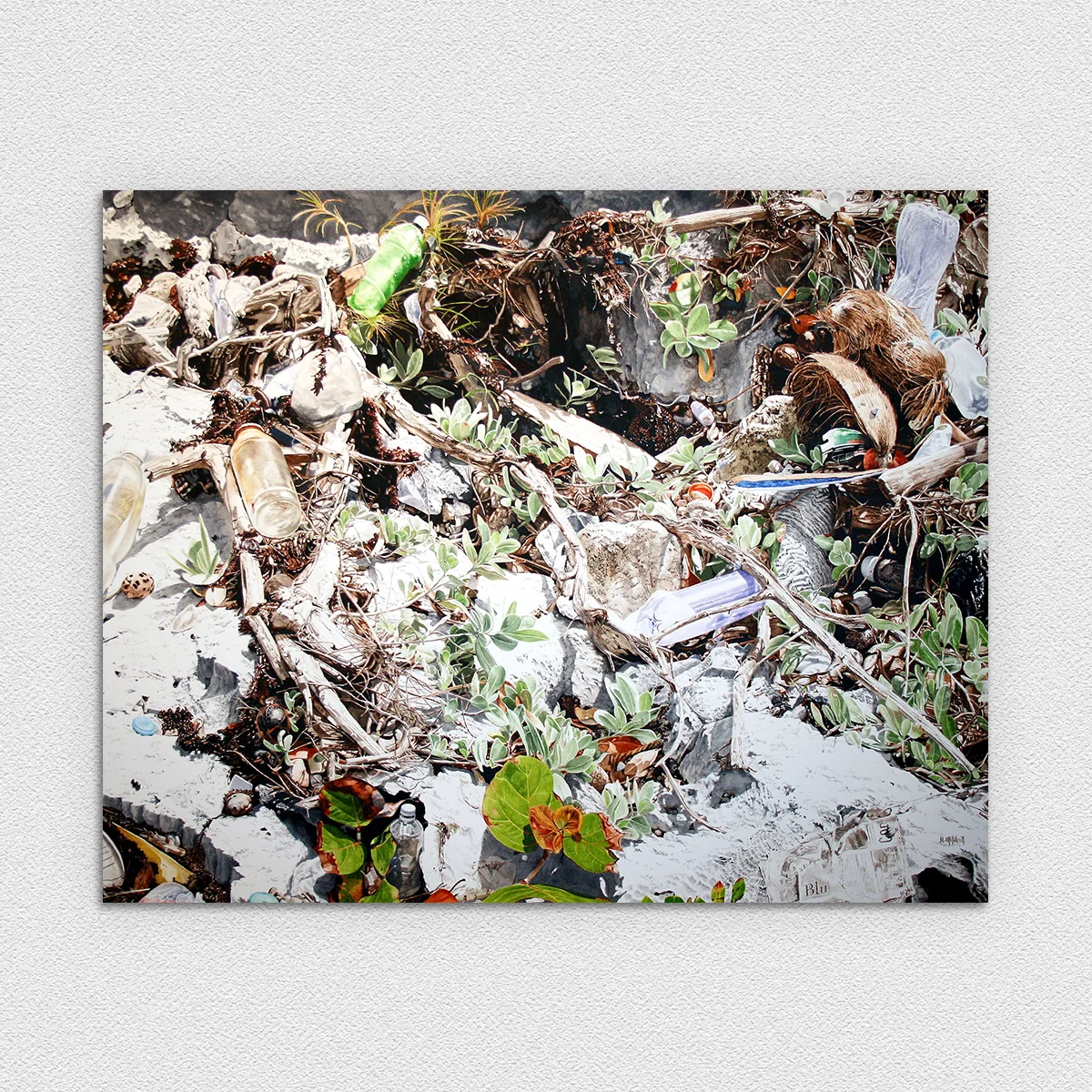 Coral Beach in Paradise...Lost - Mayan Riviera