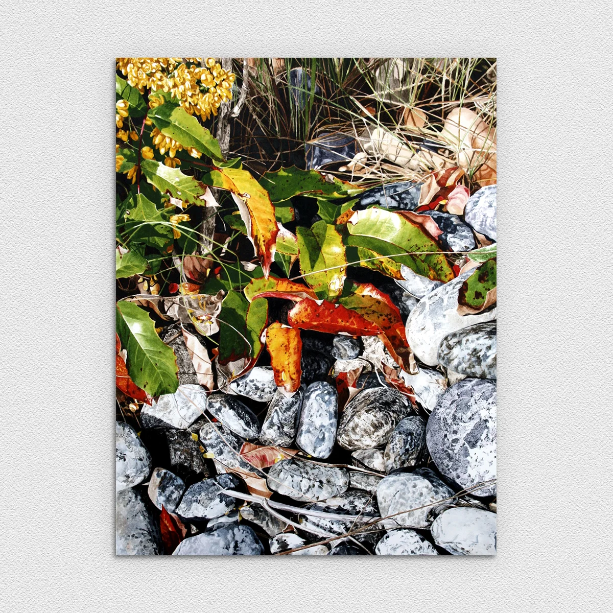 Shore Rocks &amp; Oregon Grape