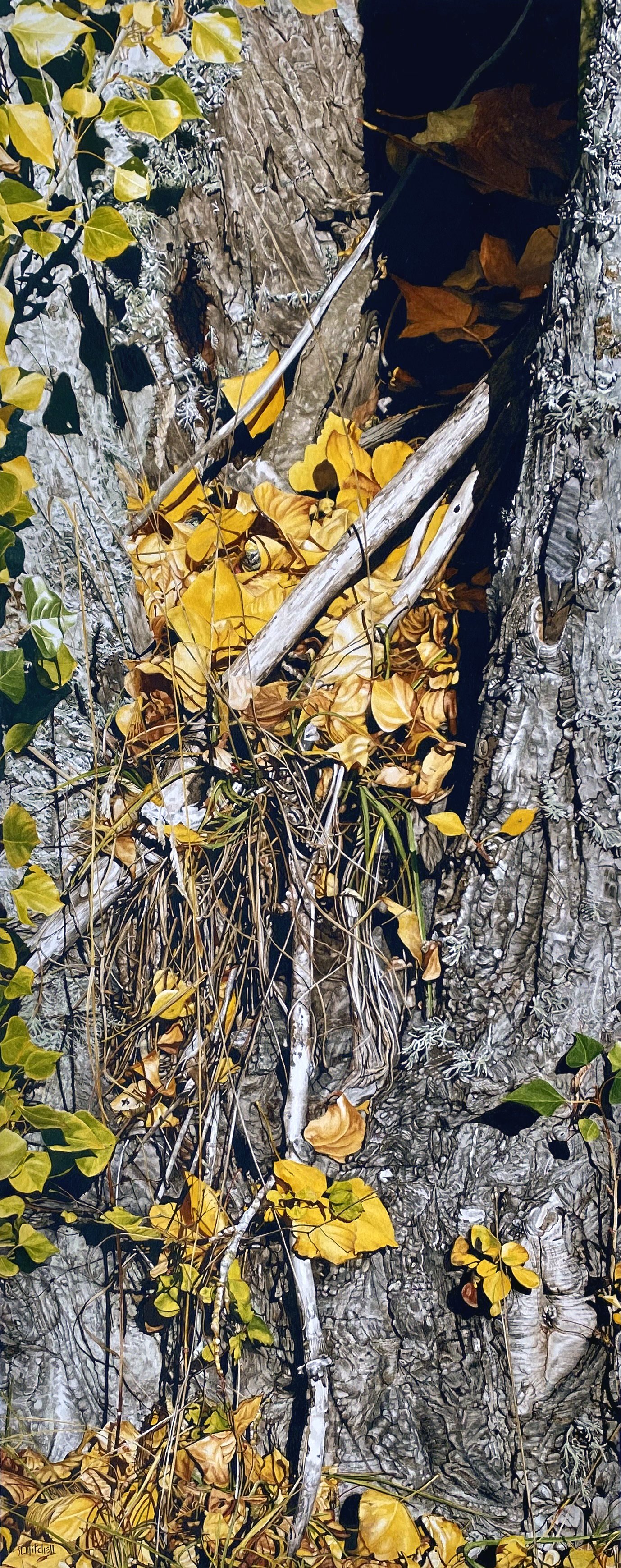Holding Pattern: Lombardy Poplar
