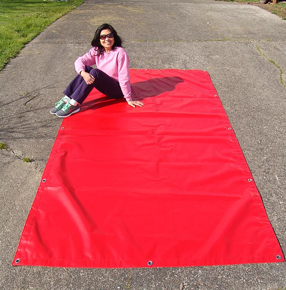 Ana Red Tarp.jpg