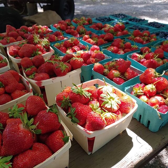 Outdoor shopping never tasted soo good! #farmfresh @siwveggies #locallove #foodcommunity #localfoodsystem #chaddsford #pa #chestercounty #friendsinfood #berries #peaches #cheese #flowers #friendlyfaces #community #love #food #pacheese #Seven Sisters 