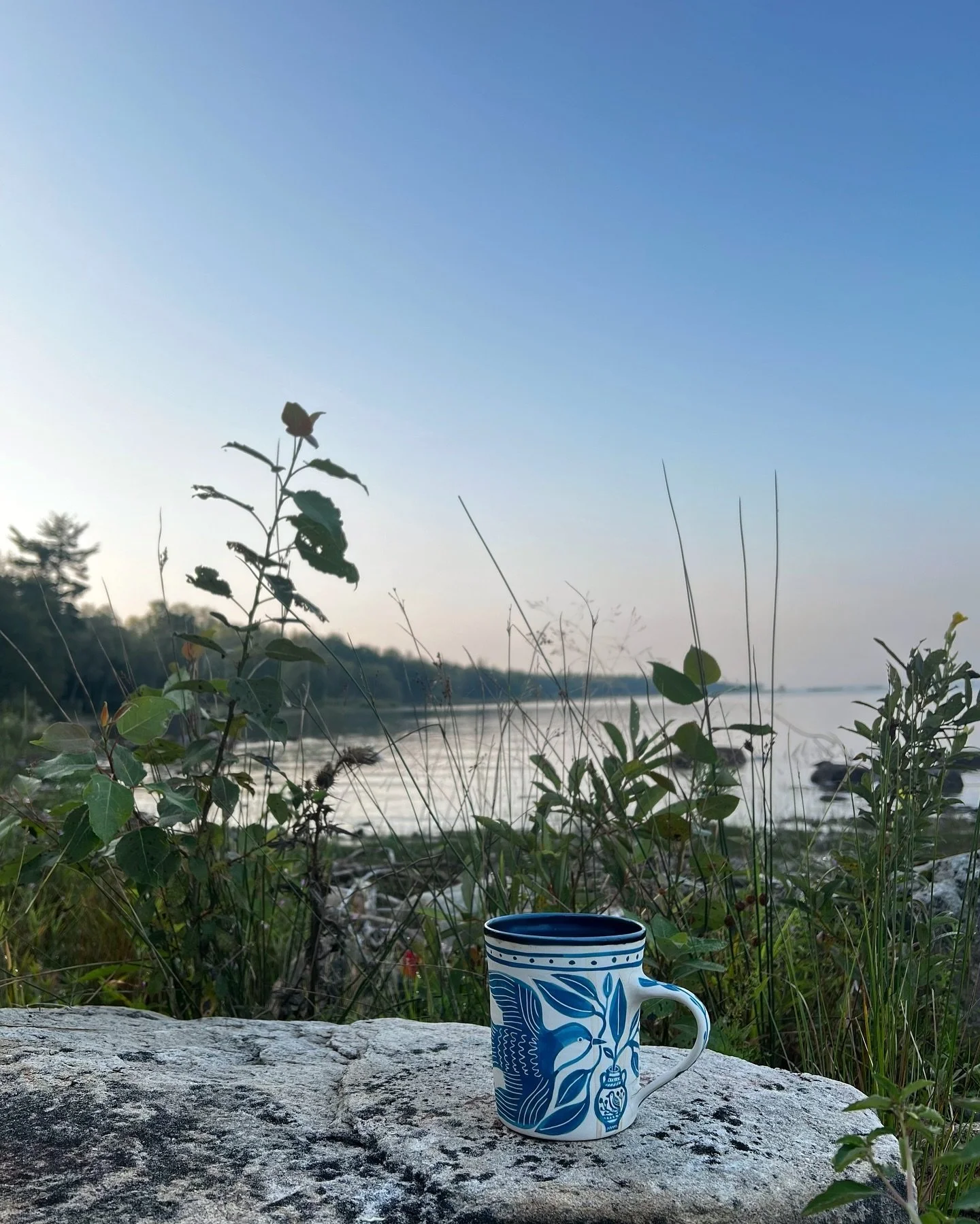 Snippets from Sugar Island.

Lots of good birding (Eagle almost every day and a family of roughed grouse with seven babes, plus all the usual suspects), many sunsets, mostly cool-for-August weather (although it&rsquo;s hot today). Regular games of Up