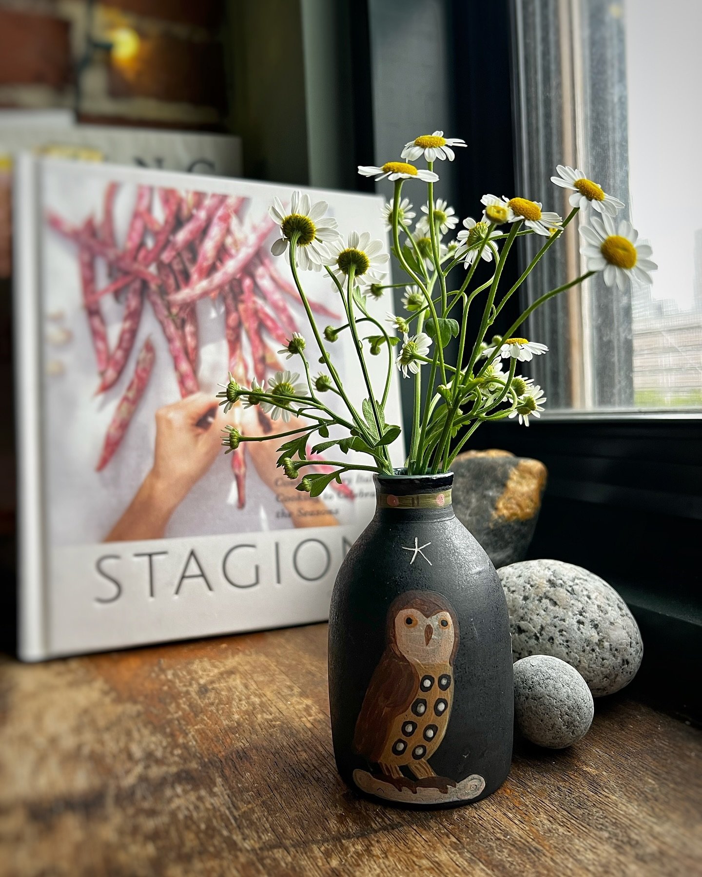 Feverfew 🌼 ( I think?) in recent bud vase. 
Flip side in the next picture. 

In the background, Olivia Cavalli&rsquo;s Stagioni cookbook which I am really enjoying. The third  picture is a delicious &ldquo;Polpettone alla Ligure&rdquo; from the book