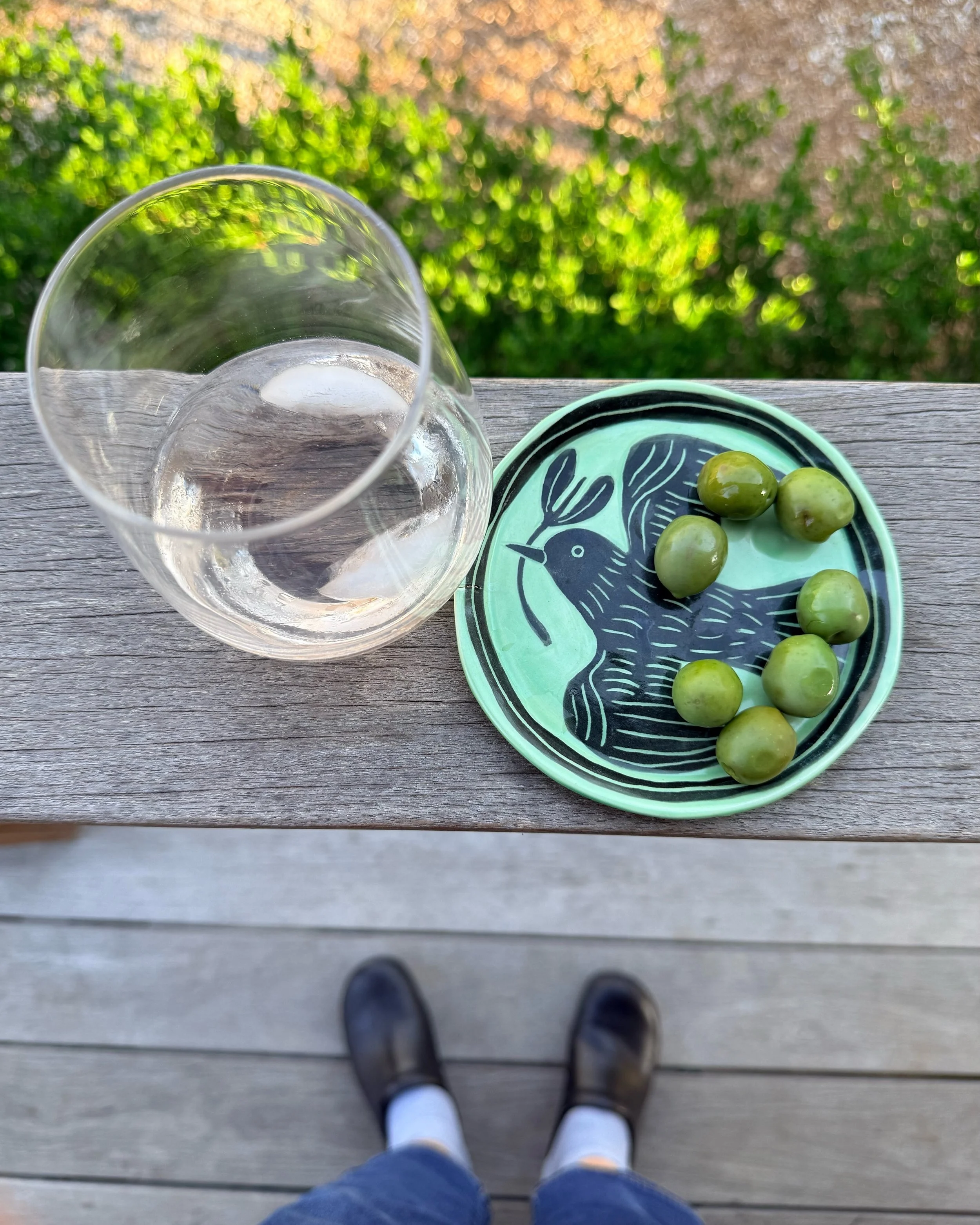 Pro tip 😂: travel with your own pots. Why do rentals (even the great ones) never have good mugs or little dishes? 

Some days of beauty, birds, bay beaches, ocean beaches, more birds, lots of nature. Not pictured: walks with dear friends, grilling e