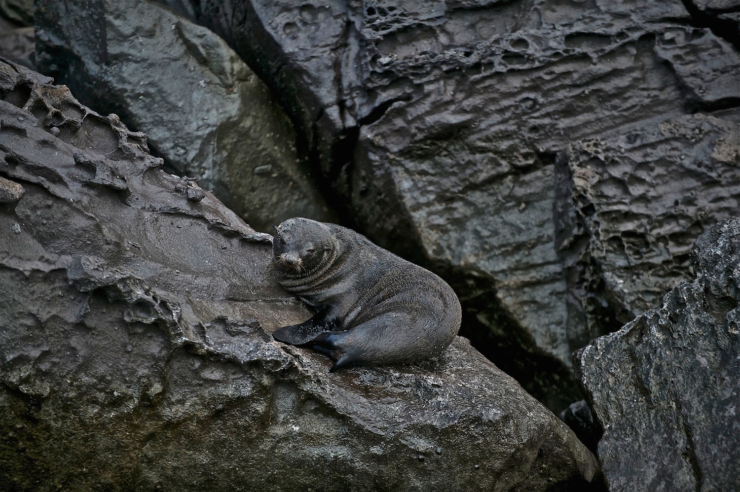 _DSC6750.jpg