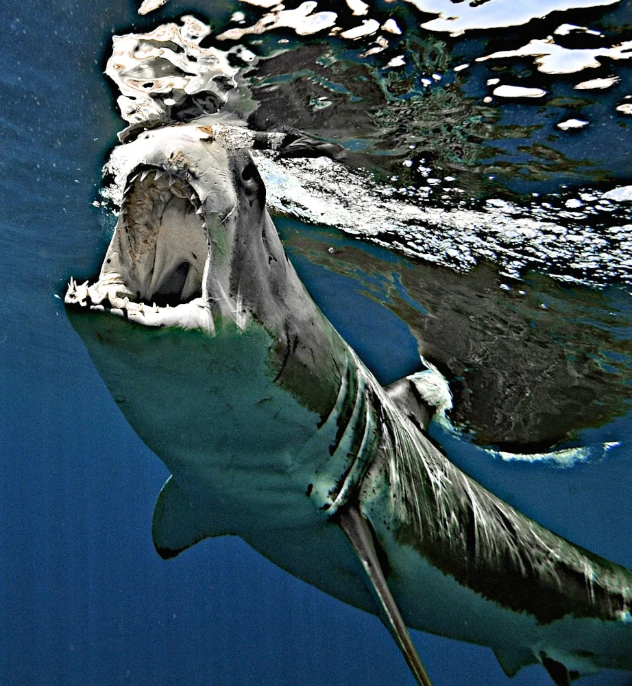DSC_3589_2.jpg