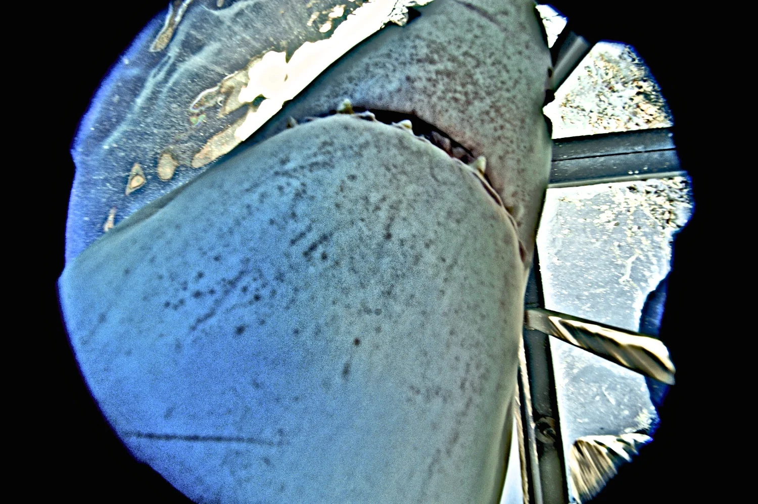 DSC_3700.jpg