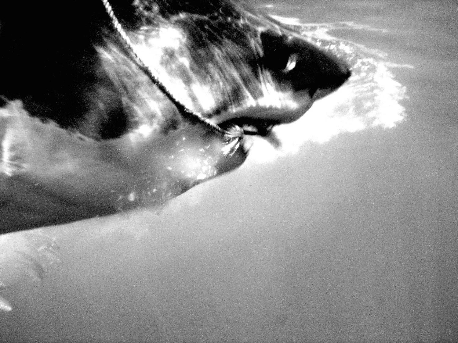 DSC00068 COPY.jpg