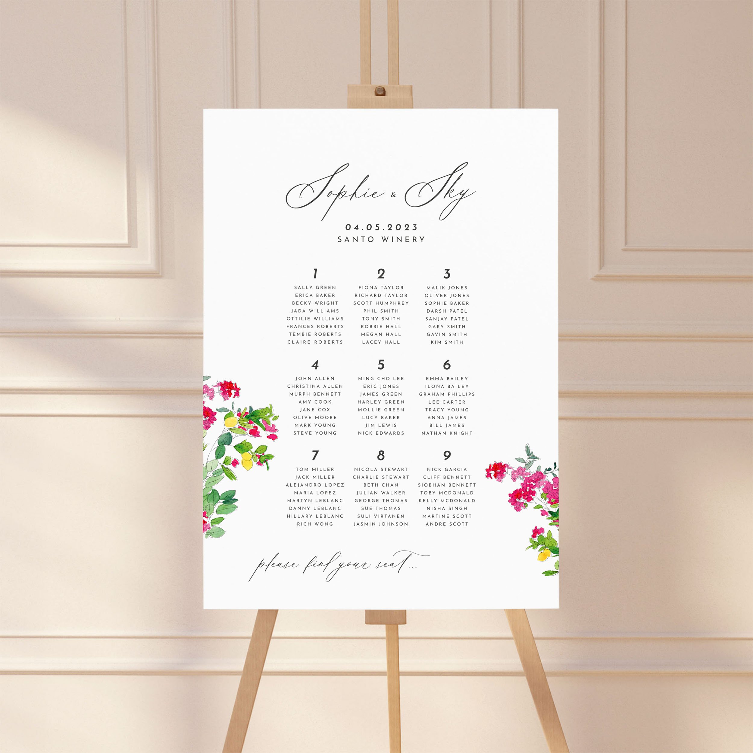 Bougainvillea   Floral, Mediterranean  