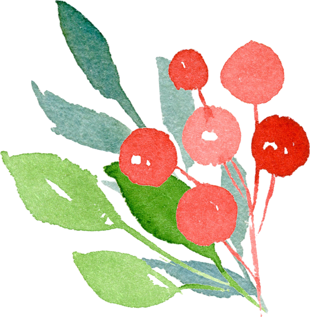 A watercolour sprig of red berries and green leaves.