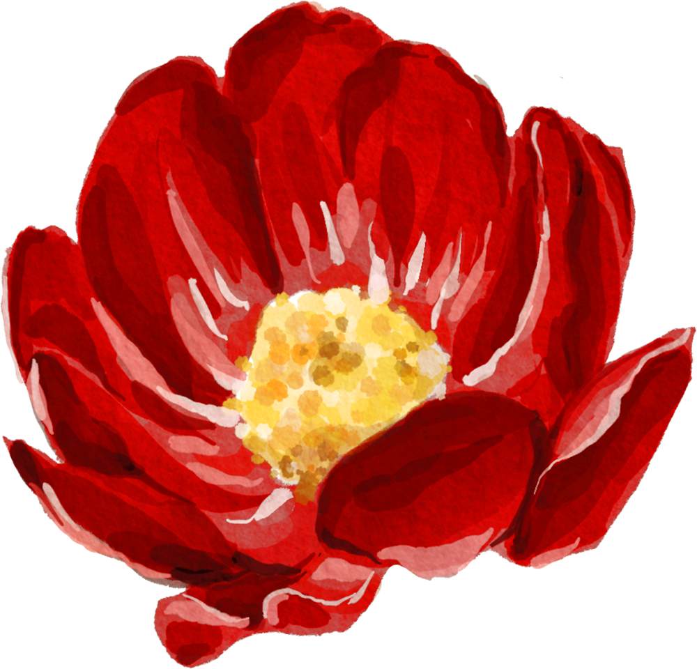 A watercolour deep red flower with a yellow middle.