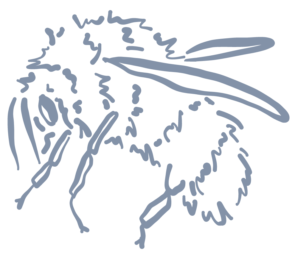 An illustration of a bee