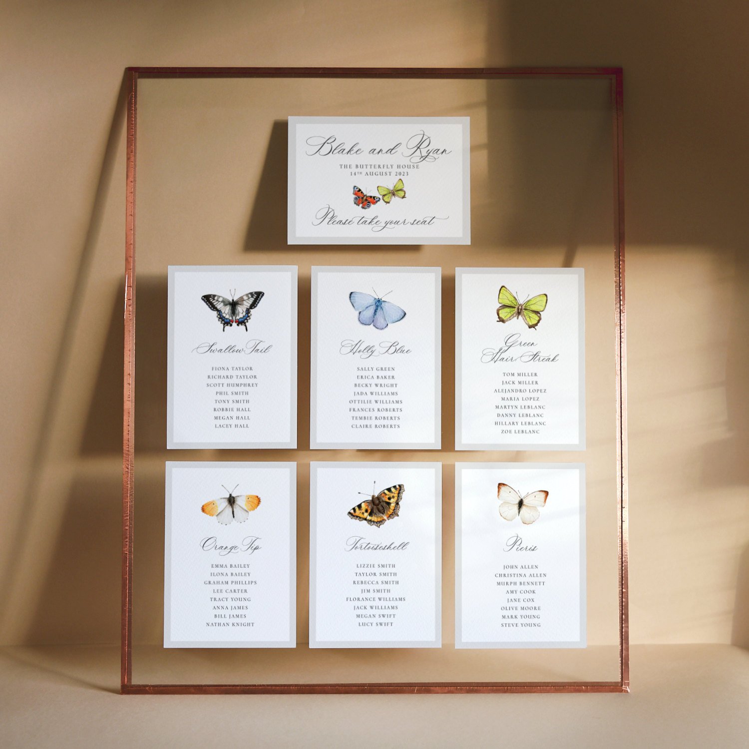 Colourful Illustrated Butterflies Table Plan.jpg