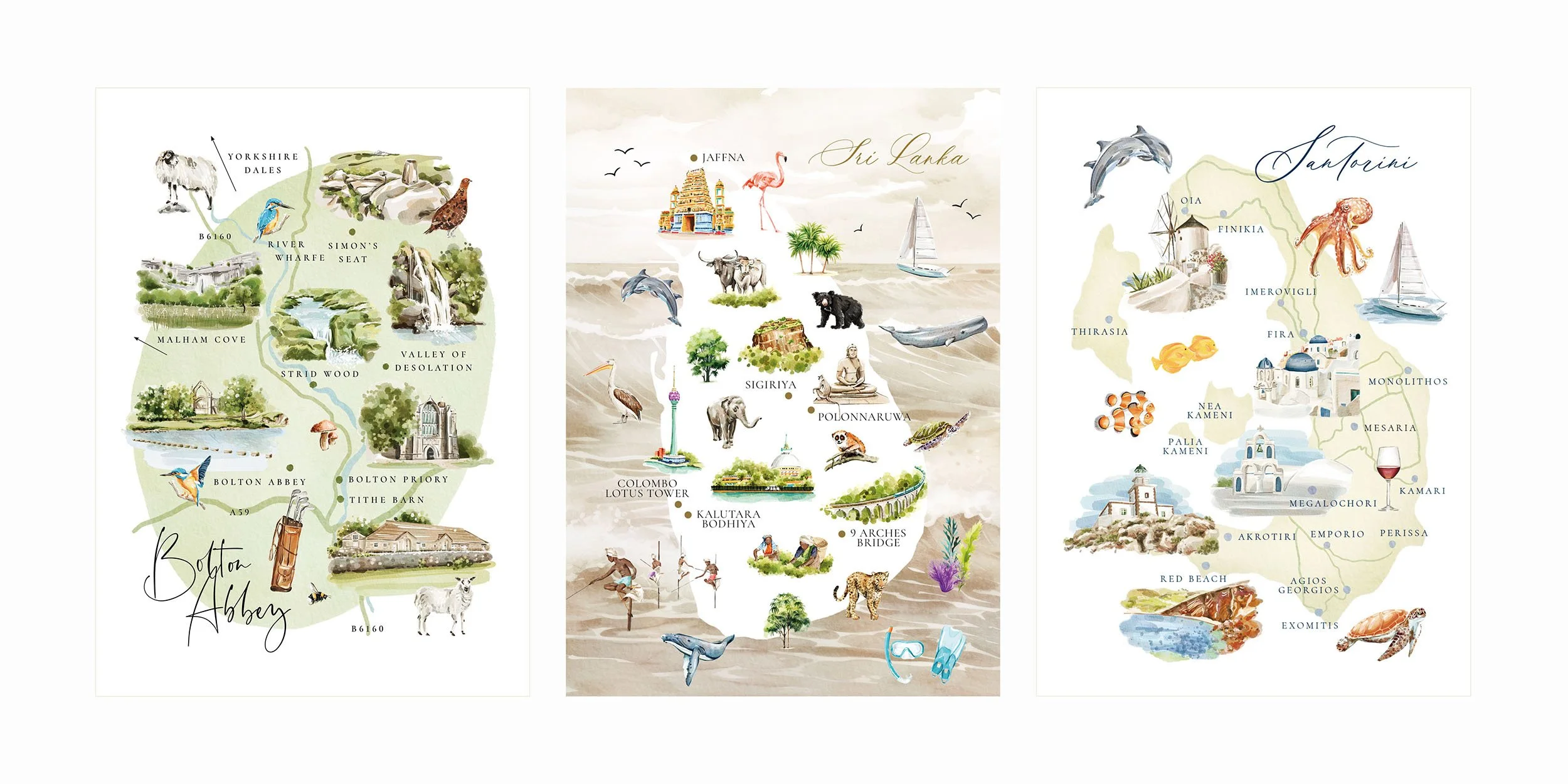 Website Imagery for Illustrations Maps4.jpg