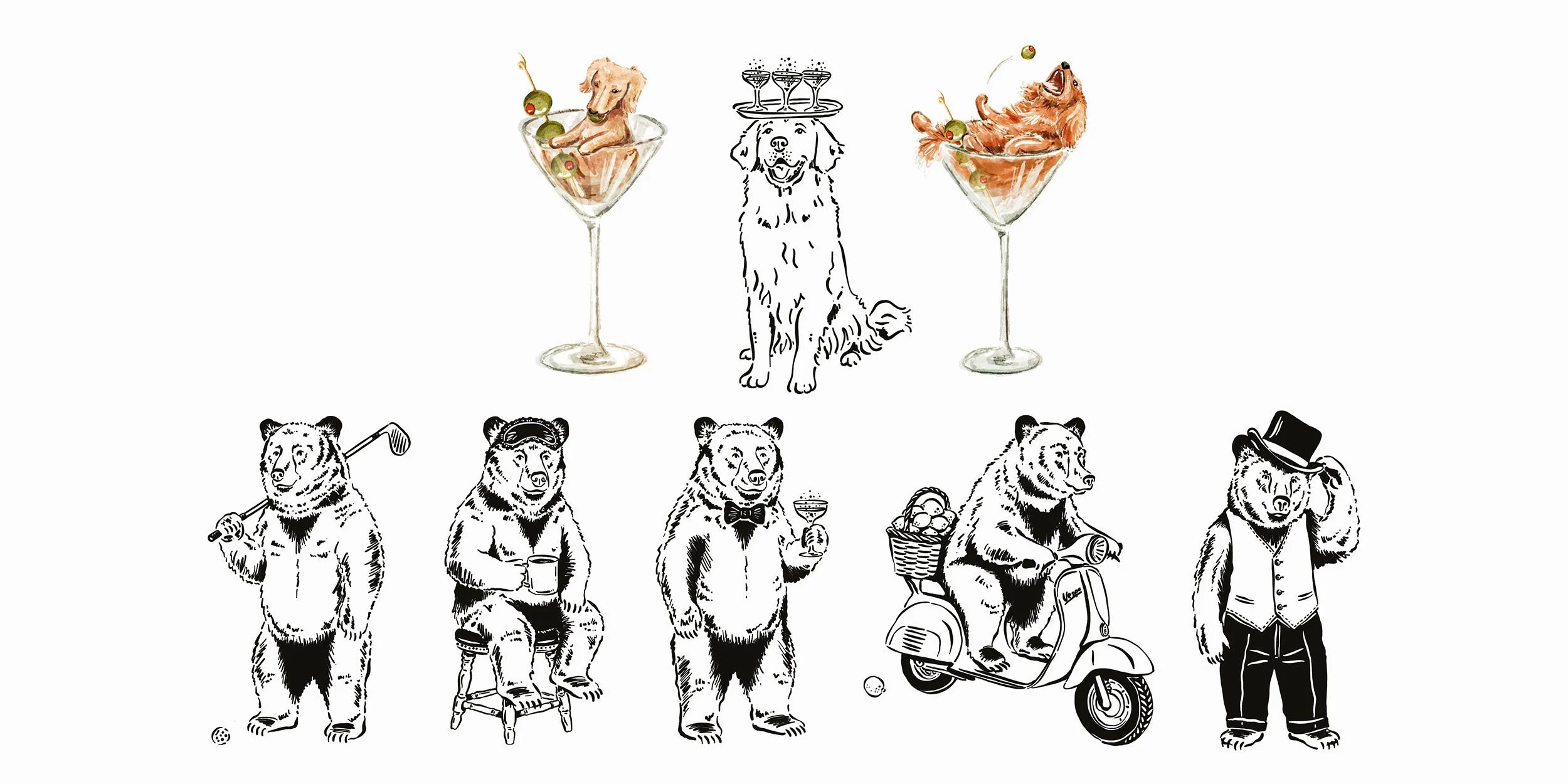 Website Imagery for Illustrations Pets 28.jpg