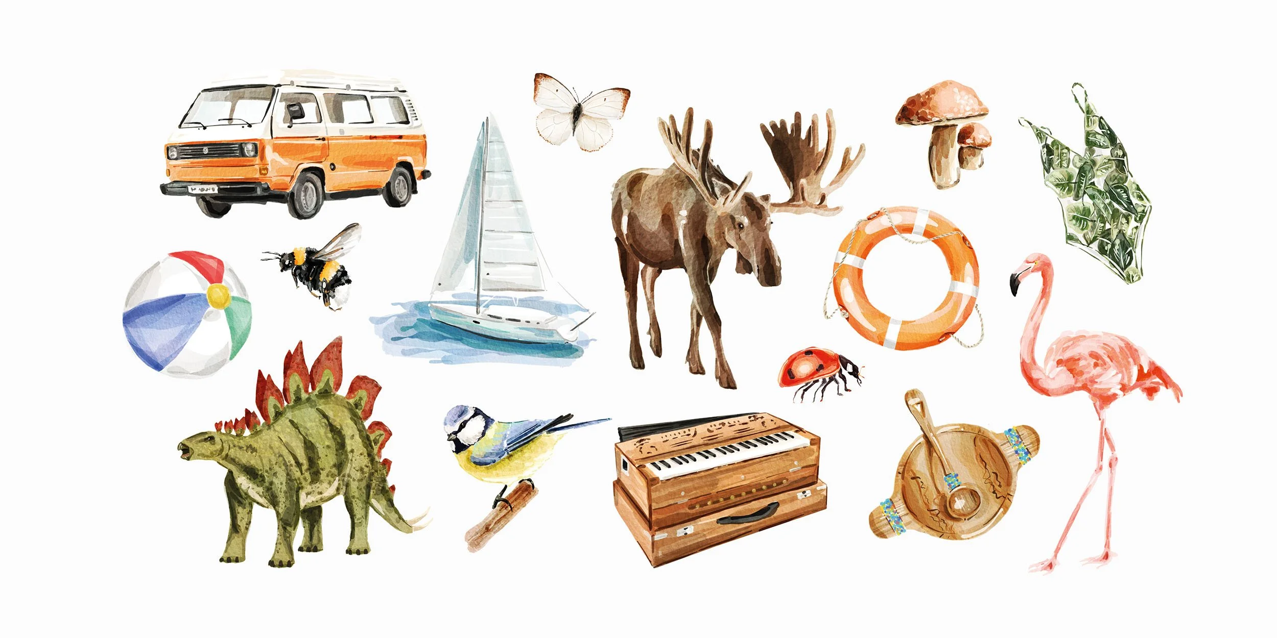 Website Imagery for Illustrations Food, Flowers, Misc.jpg