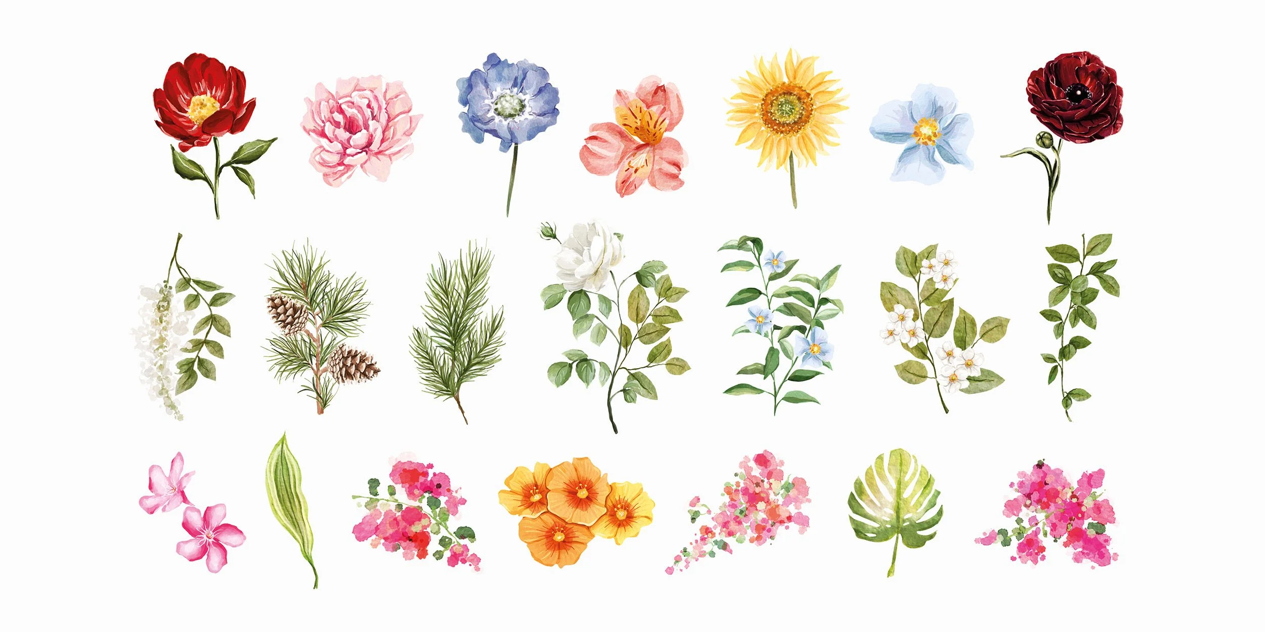Website Imagery for Illustrations Food, Flowers, Misc3.jpg