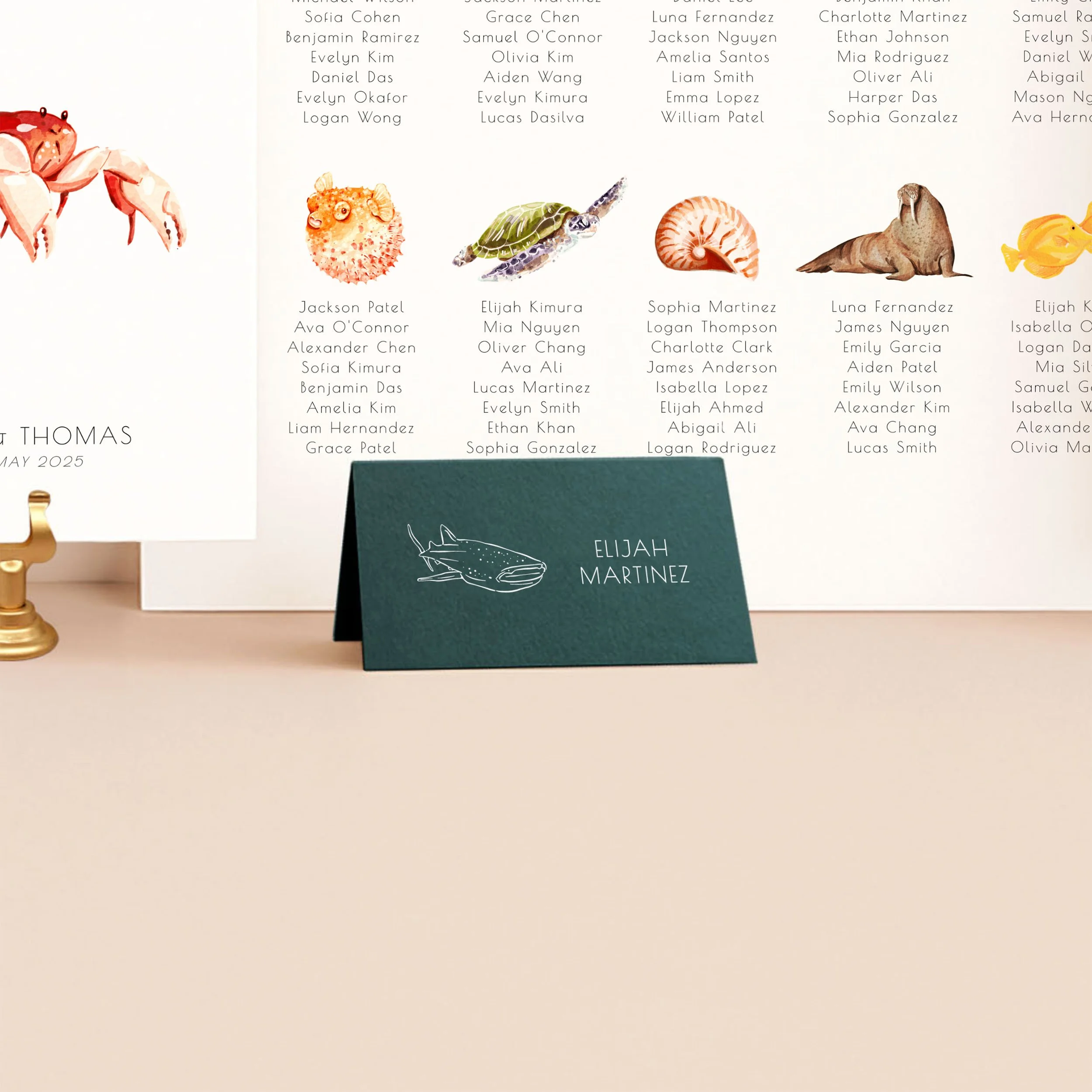 Ocean   Animals, Beach  