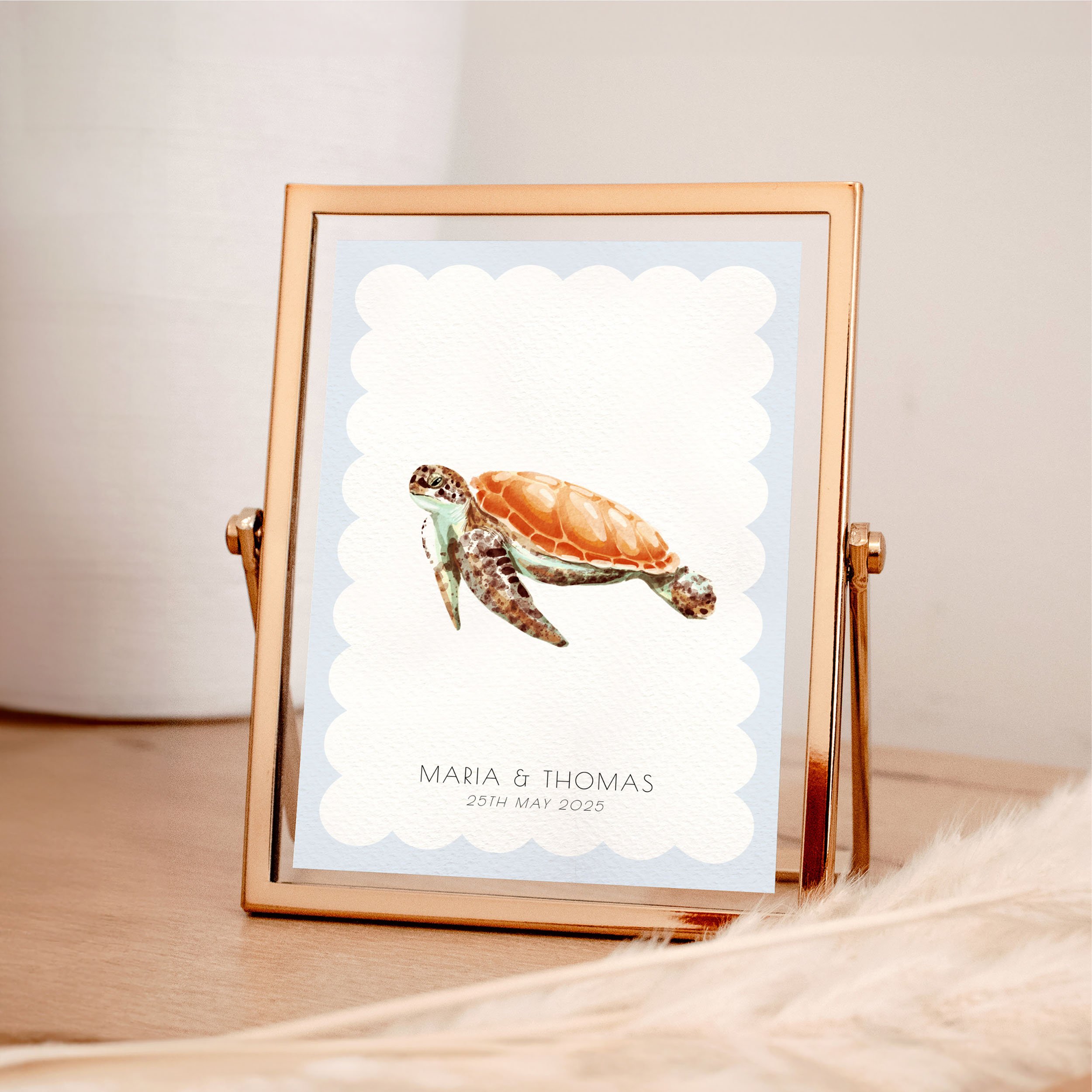 Ocean (scallop)   Animals, Beach  