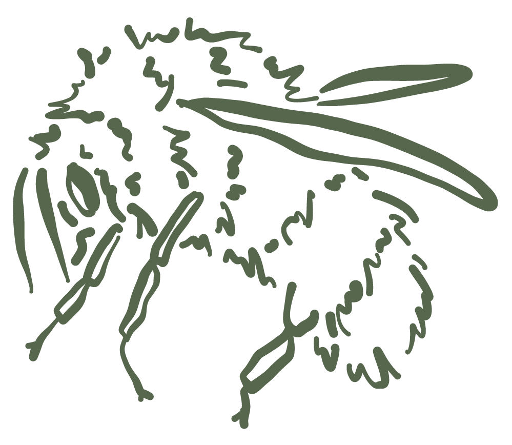 An illustration of a bee