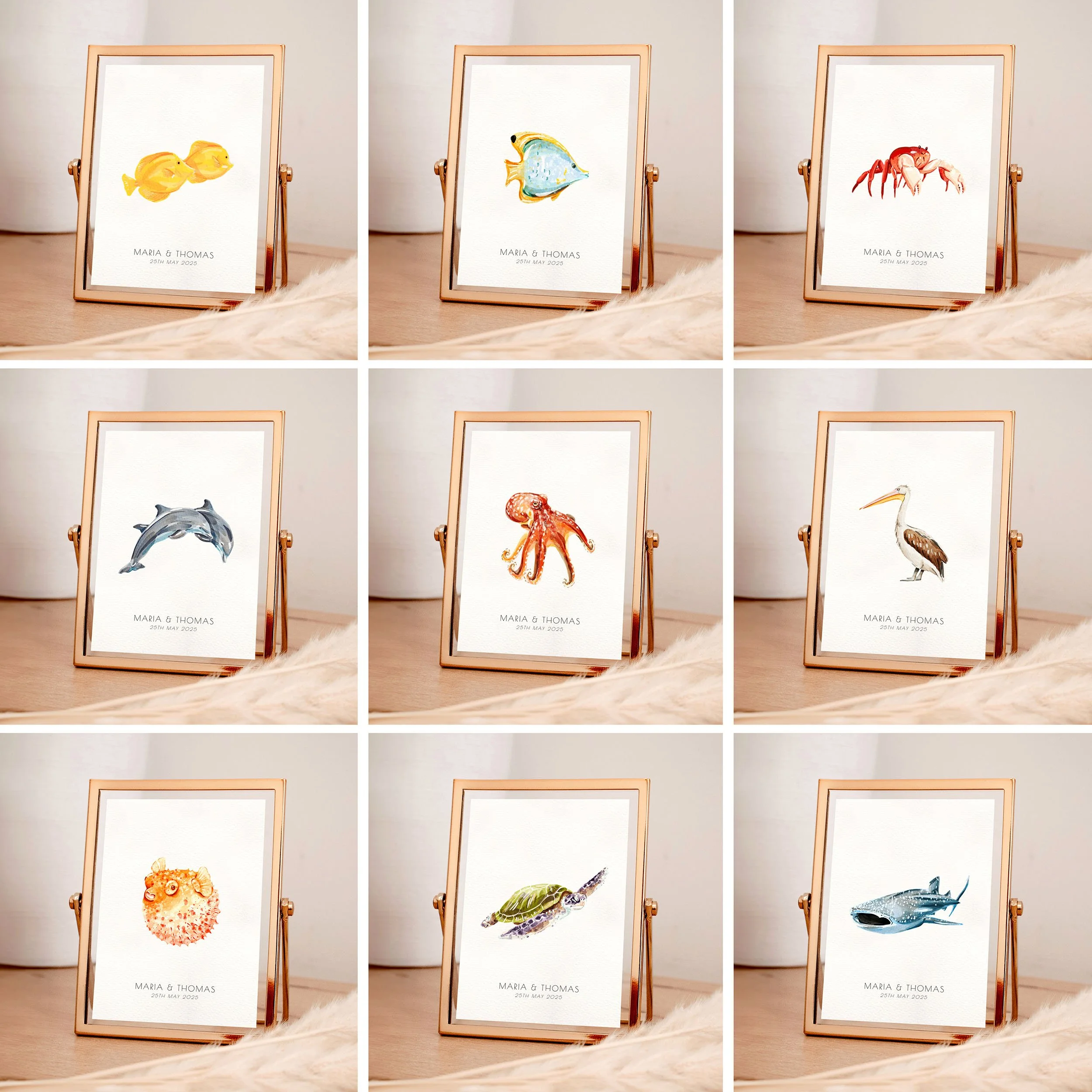 Ocean   Animals, Beach  