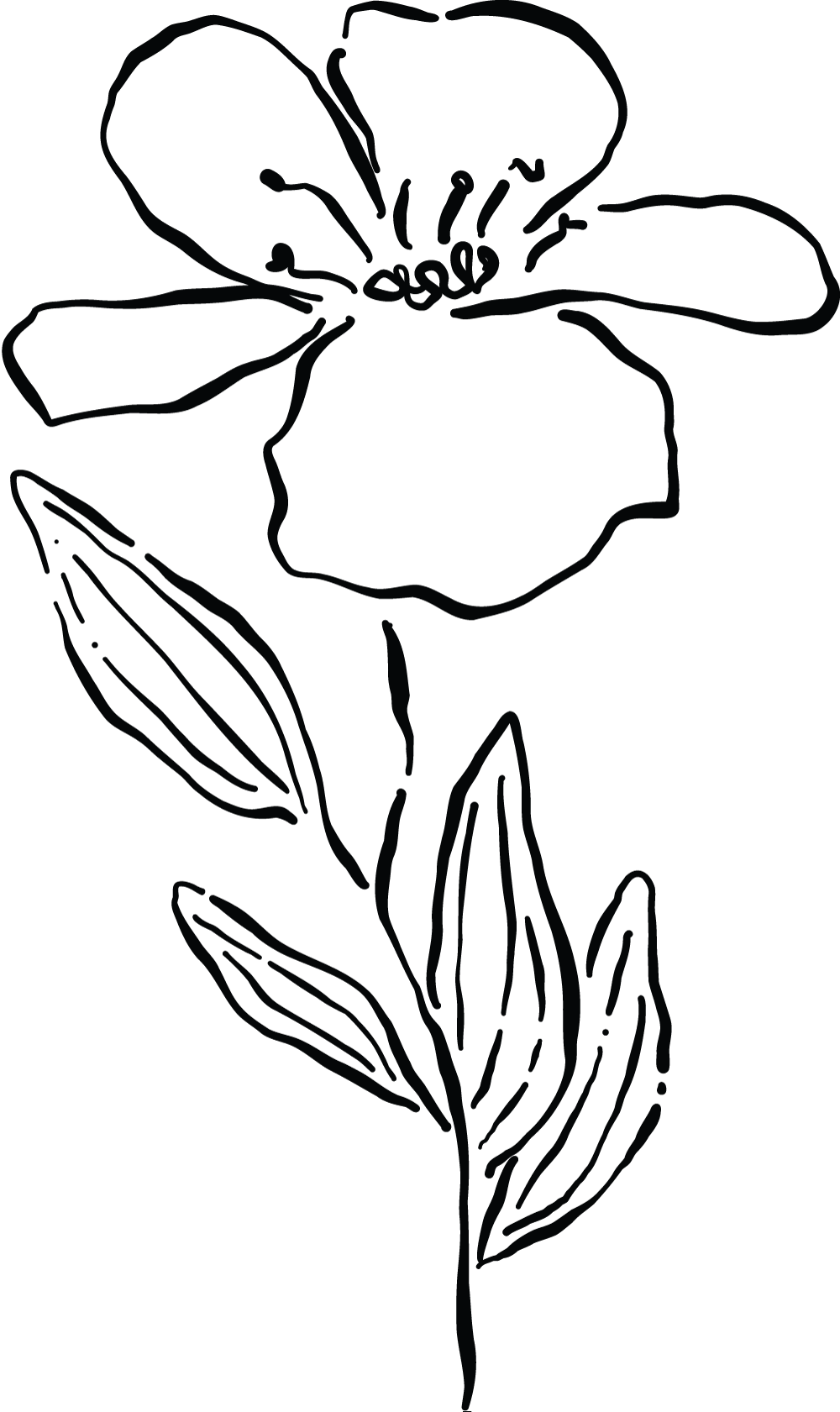A black line illustration of a flower.