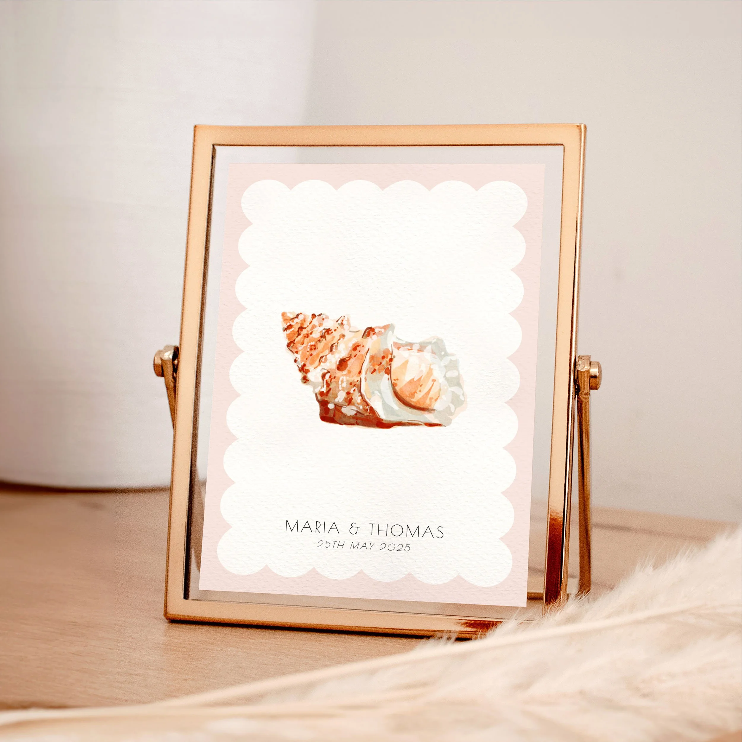 Seashell (scallop)   Animals, Beach  