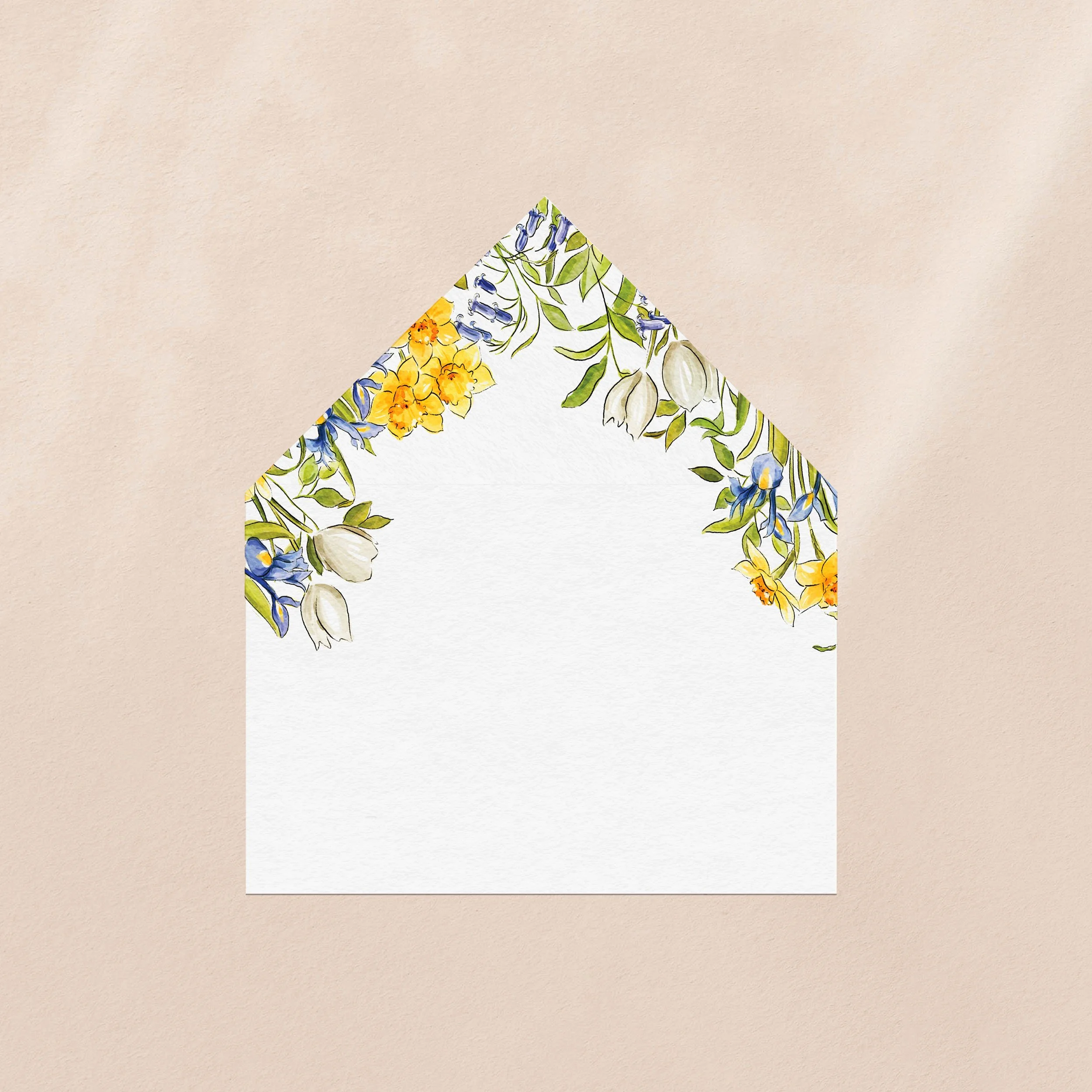 Daffodil   Floral, Spring  