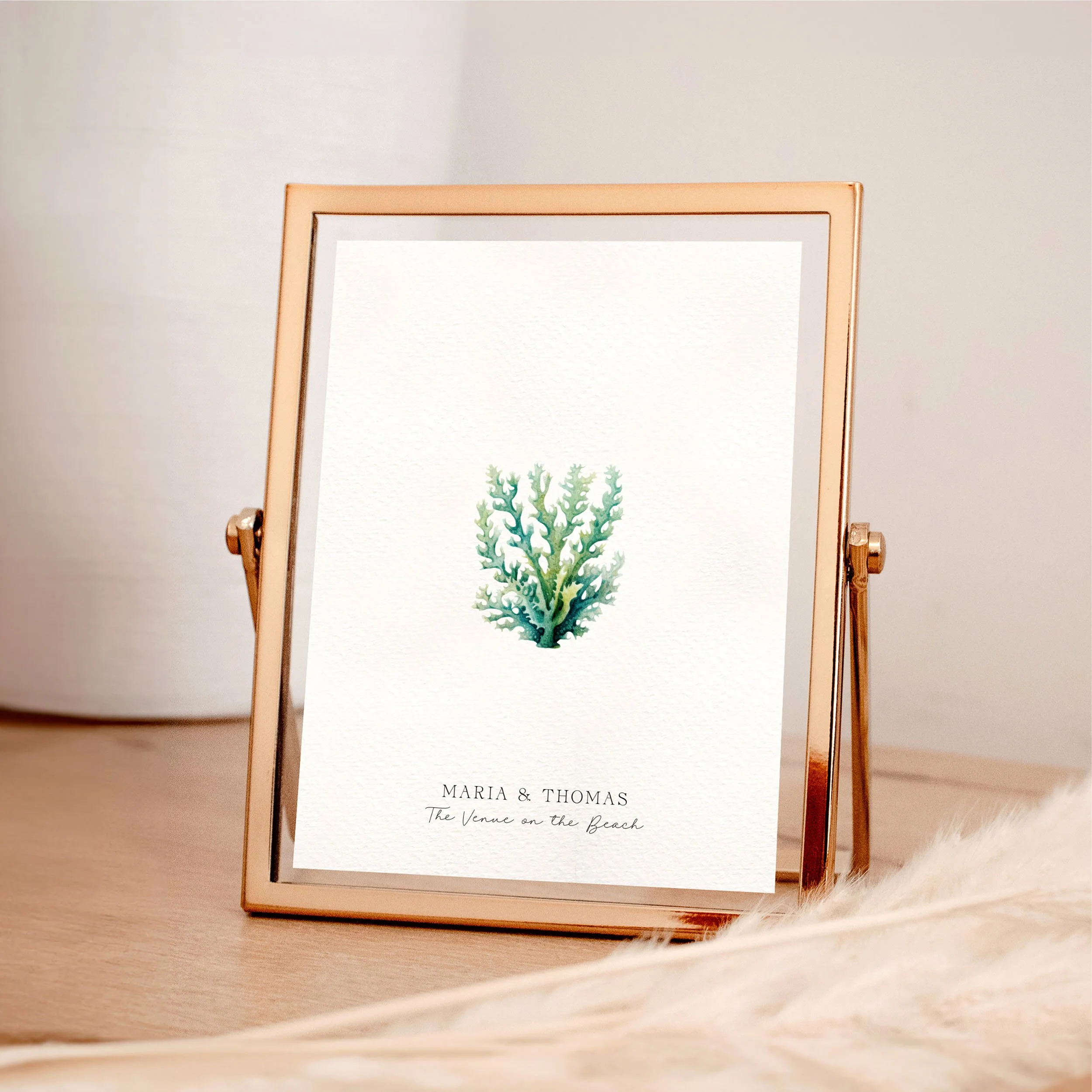 Coral (+more coral designs)   Beach  