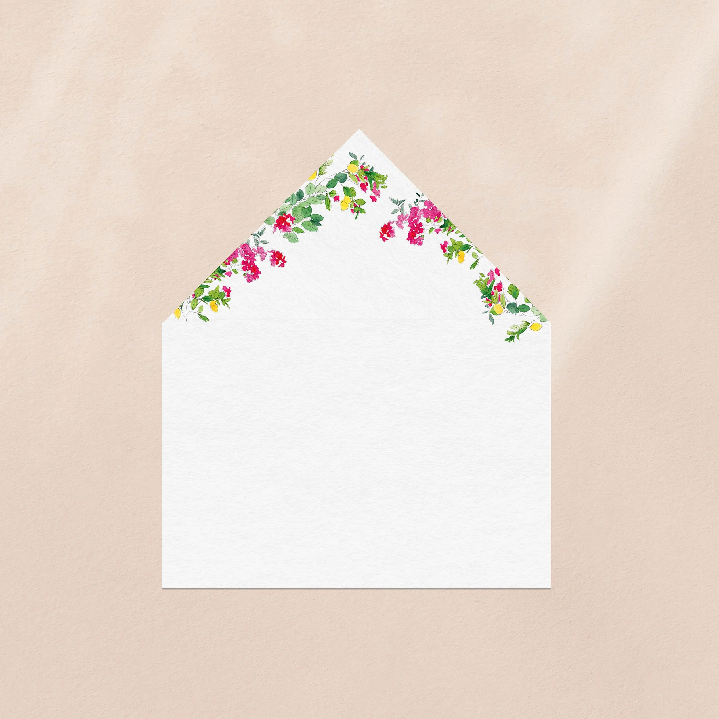 Bougainvillea   Floral, Mediterranean  