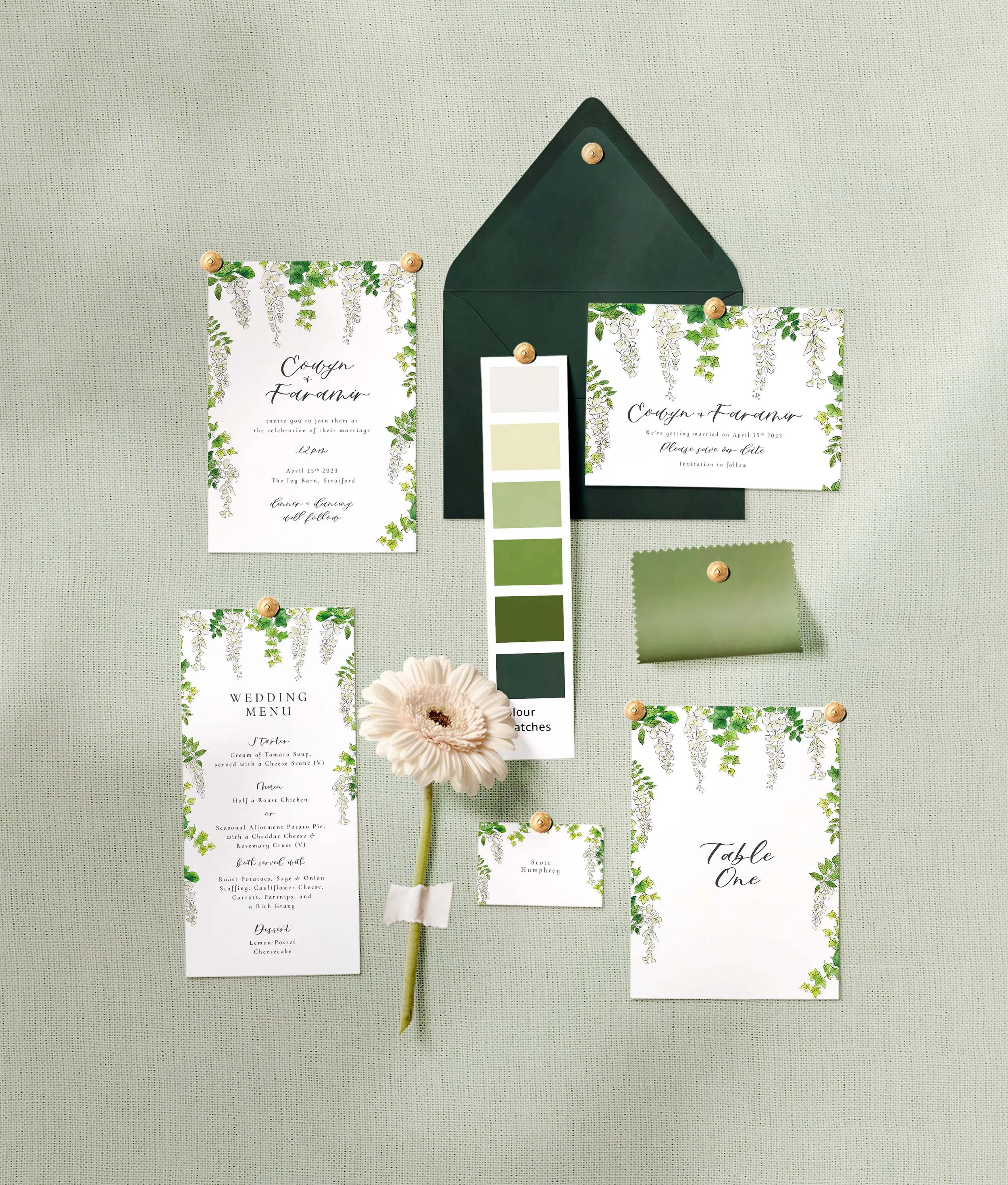 Wisteria   Botanical  