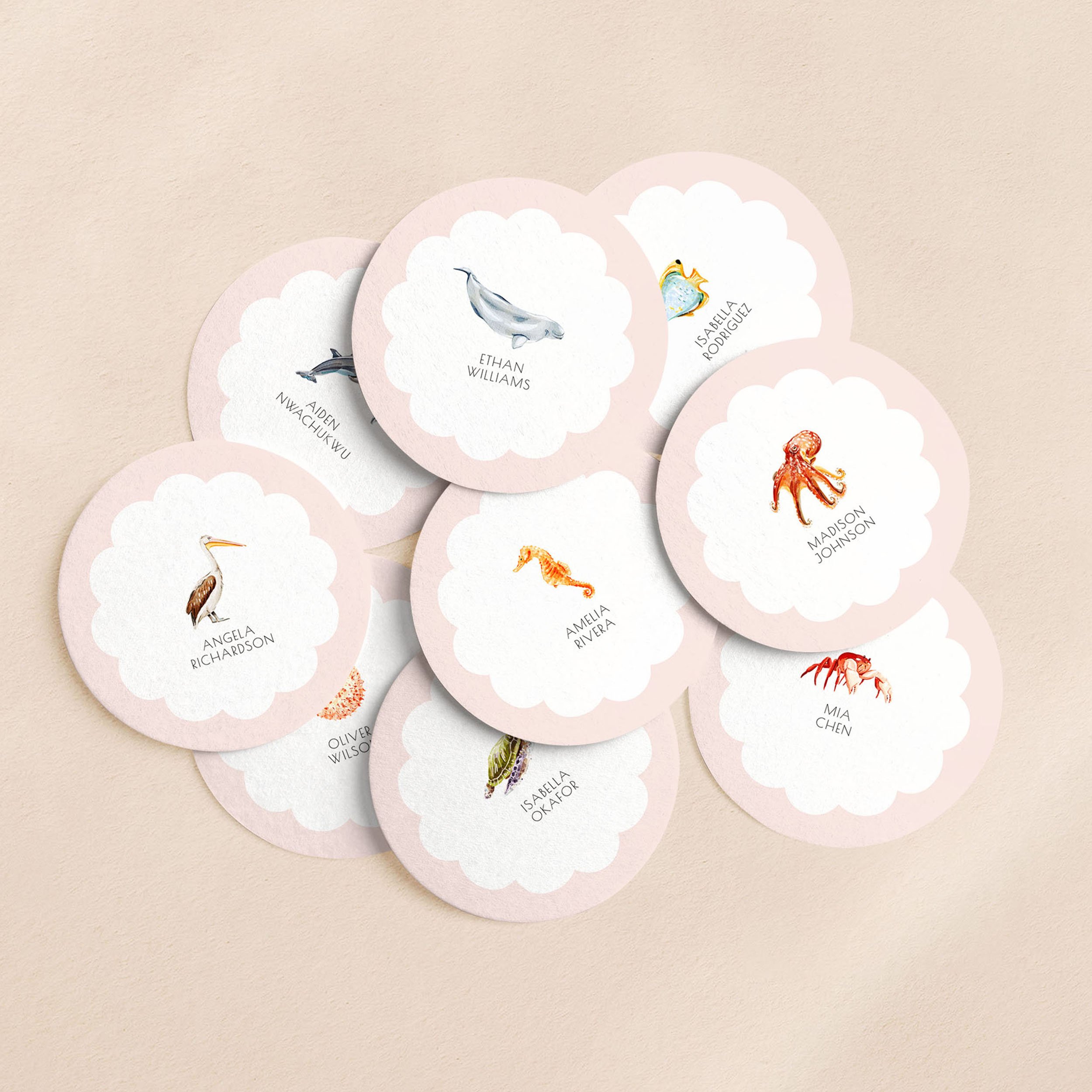 Seashell   Animals, Beach  