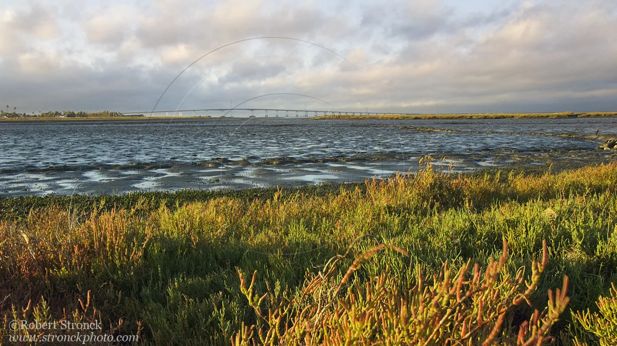   South bay at low-tide &nbsp; [sf_bay5104]   