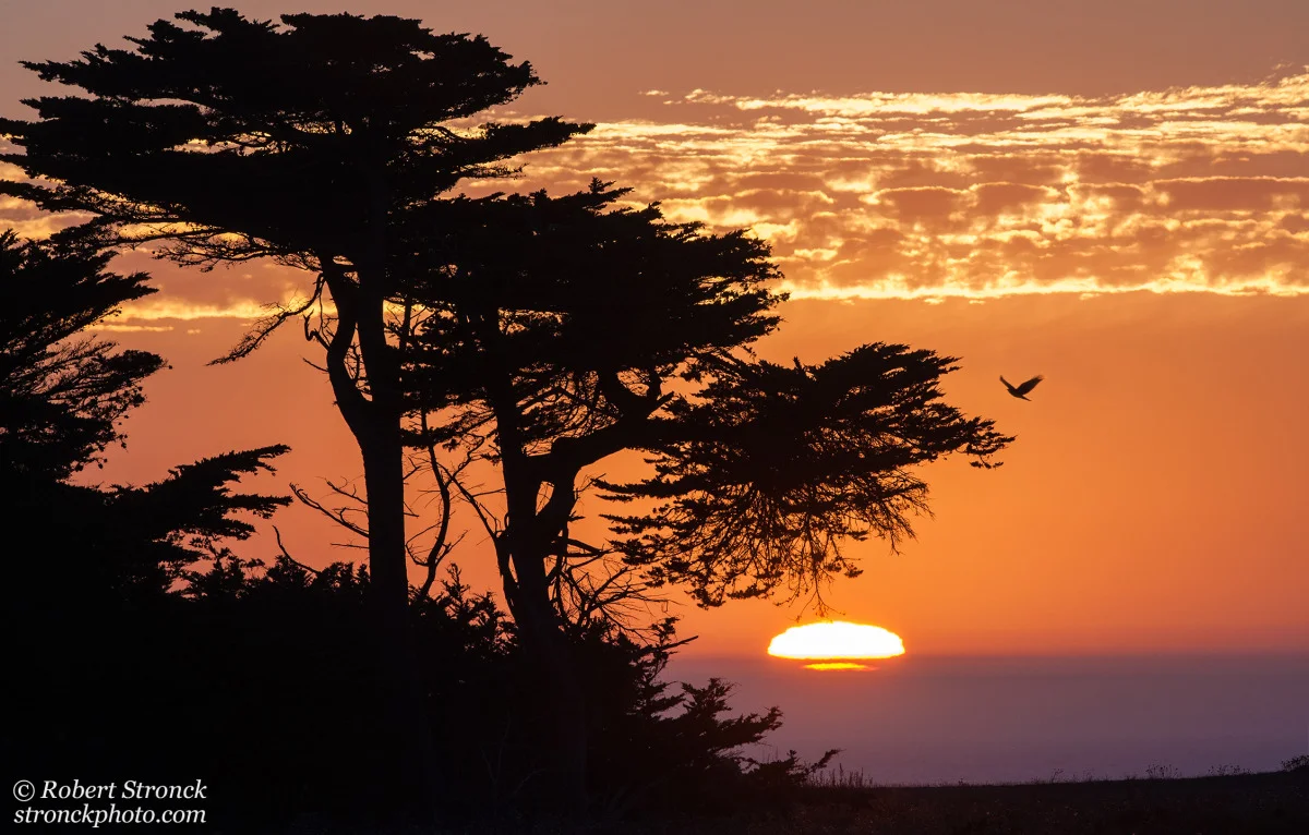   No. 27 / Wavecrest Sunset&nbsp; (Wavecrest_HMB51283) 
 On this Fall day, I spent most of the afternoon unsuccessfully chasing White-tailed Kites at Wavecrest Open Space in Half Moon Bay. The consolation prize was this spectacular sunset that I cap