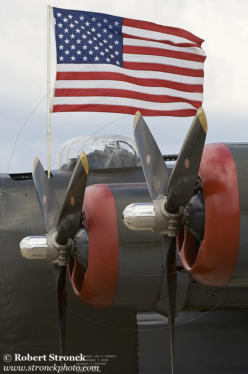   B-24 Liberator showing 1,200hp 14-cylinder radial engines  &nbsp;[b248104_9]   