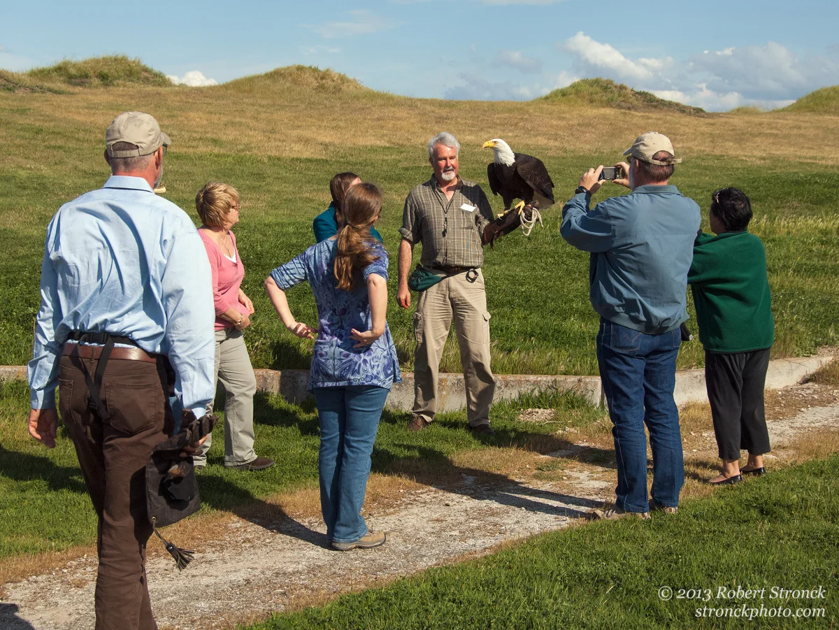 Sequoia with John Flynn