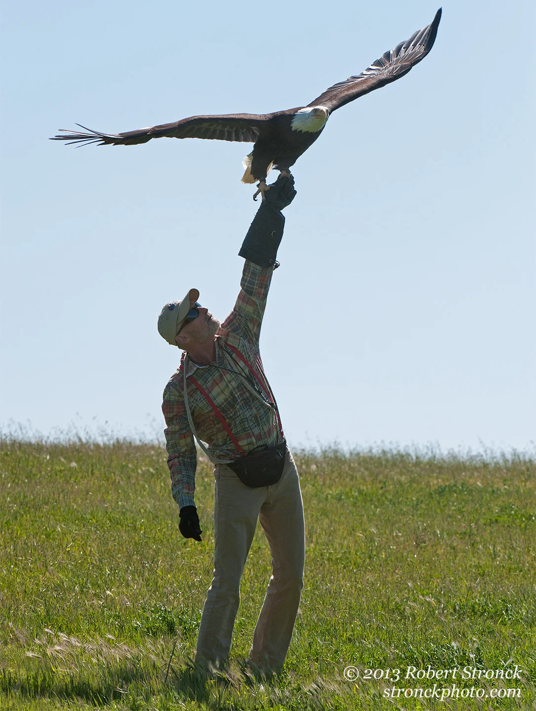 Sequoia with John Aikin