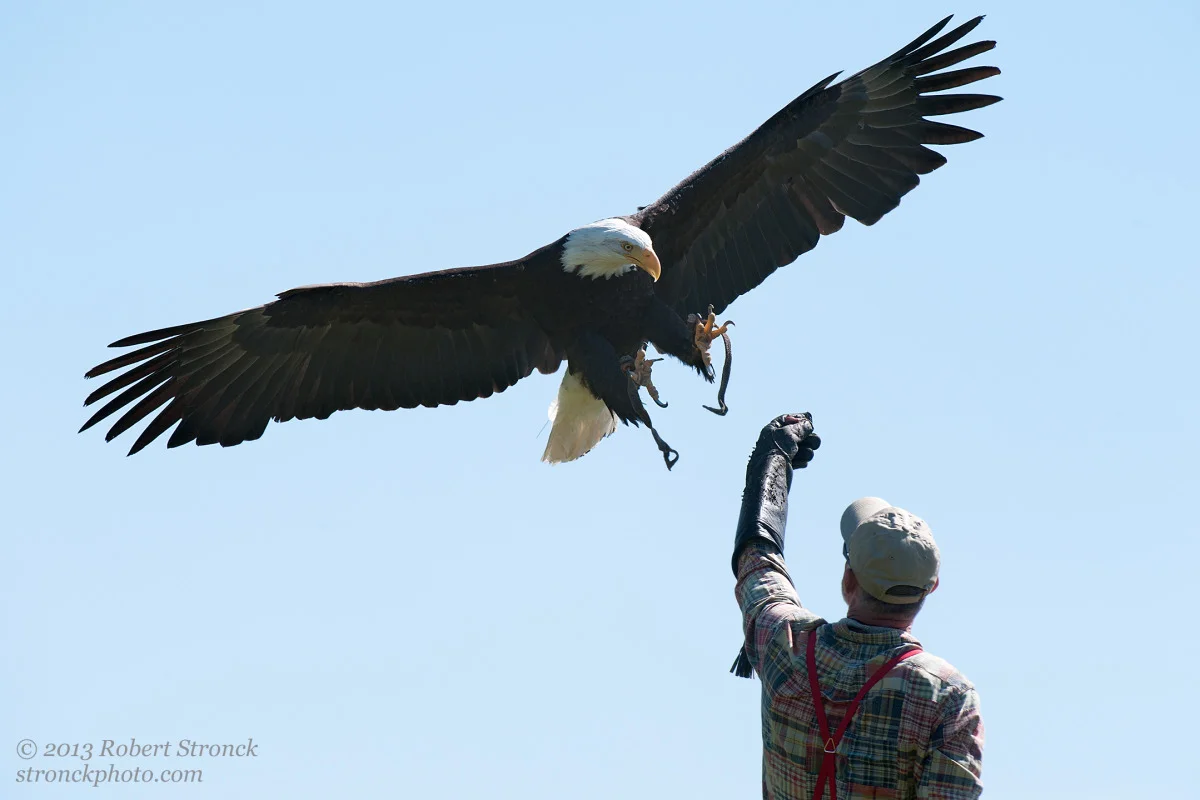 Sequoia with John Aikin