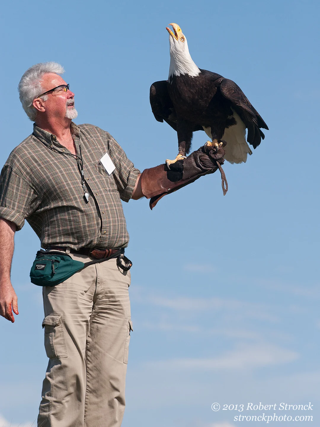 Sequoia with John Flynn