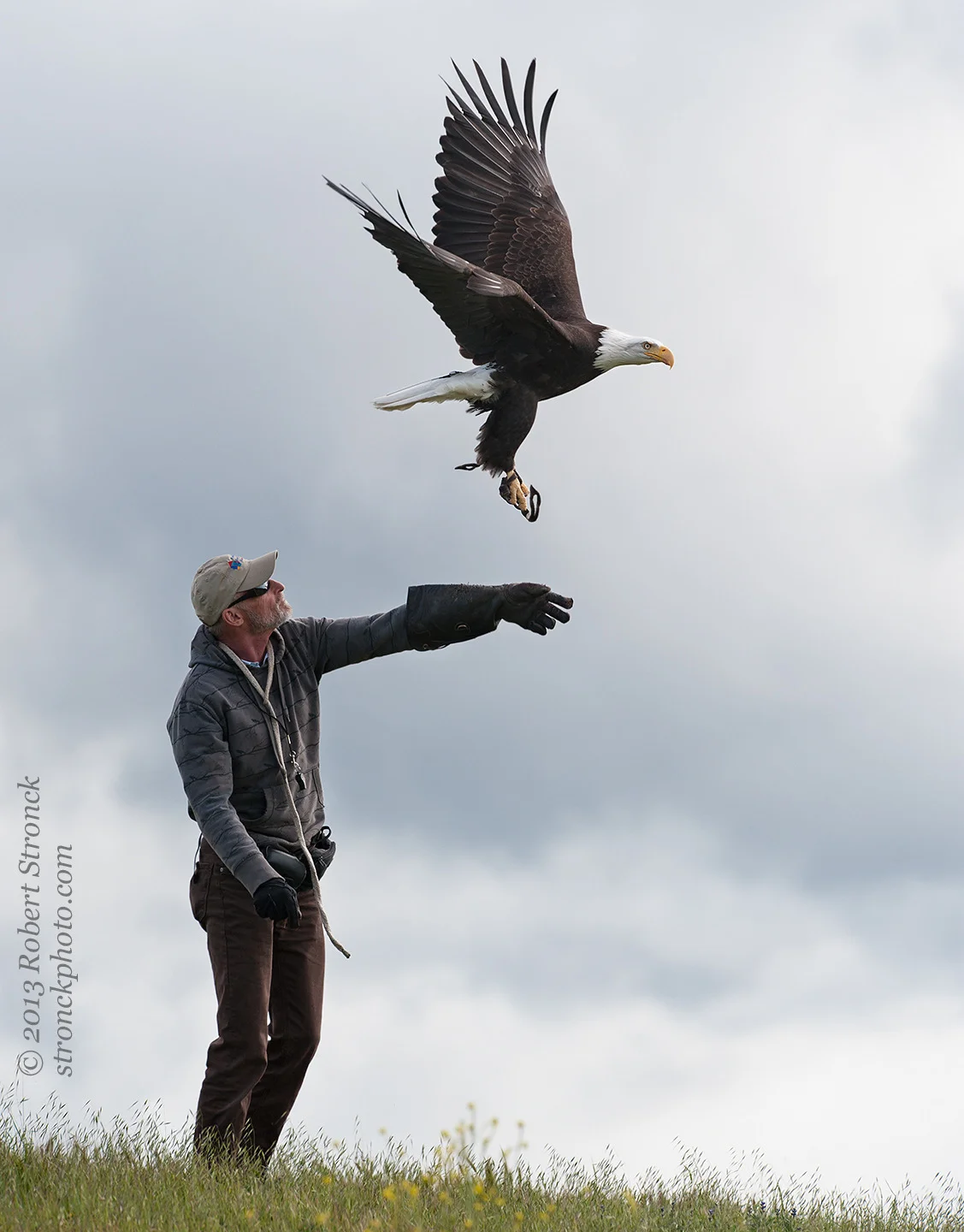 Sequoia with John Aikin