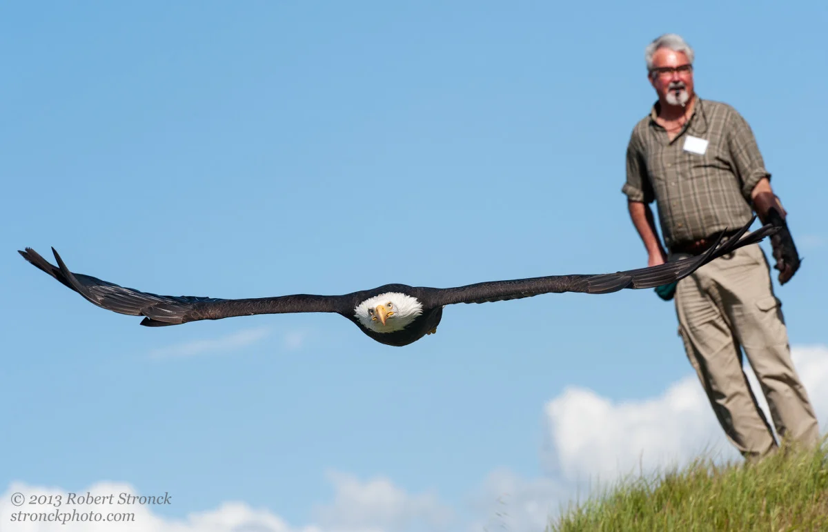 Sequoia with John Flynn