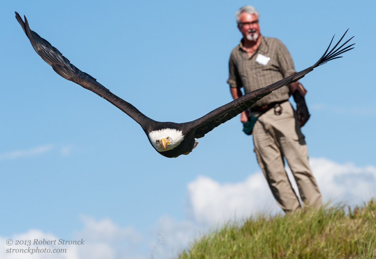 Sequoia with John Flynn