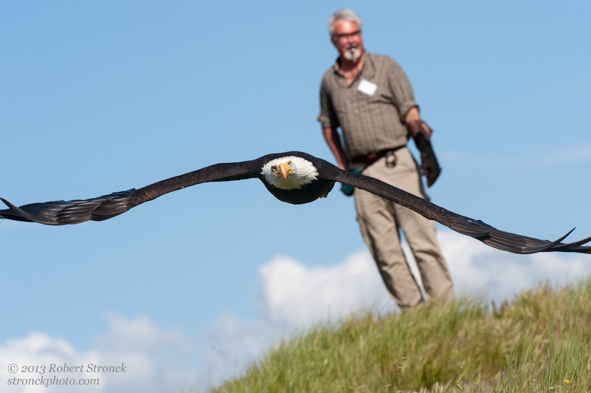 Sequoia with John Flynn