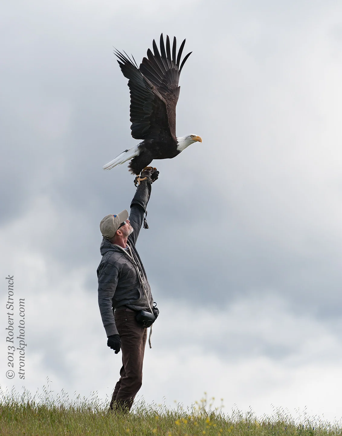 Sequoia with John Aikin