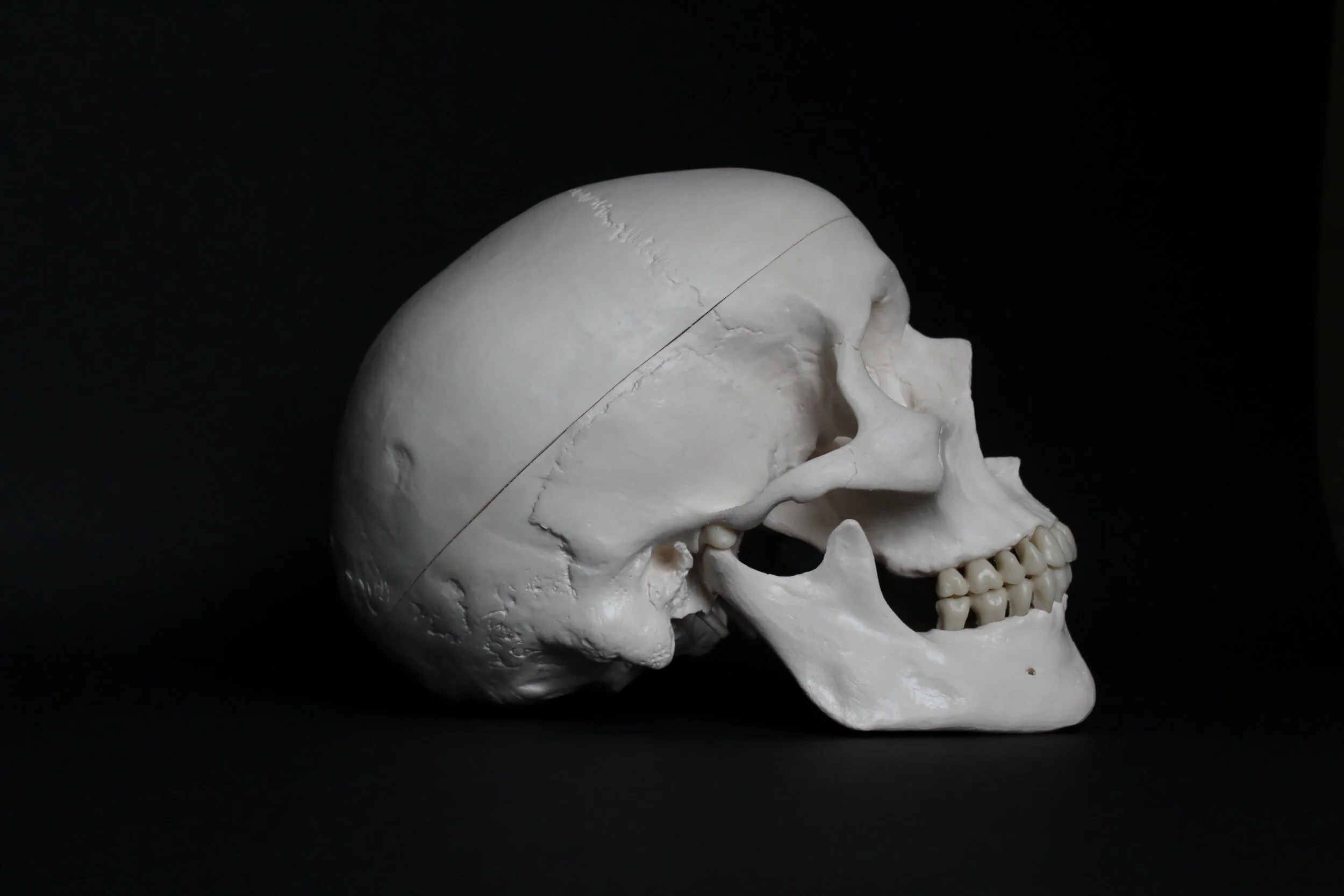 The Return of Phineas Gage: Clues about the Brain from the Skull of a Famous Patient